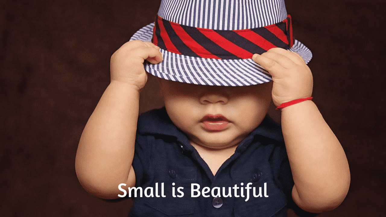 Small is Beautiful Essay