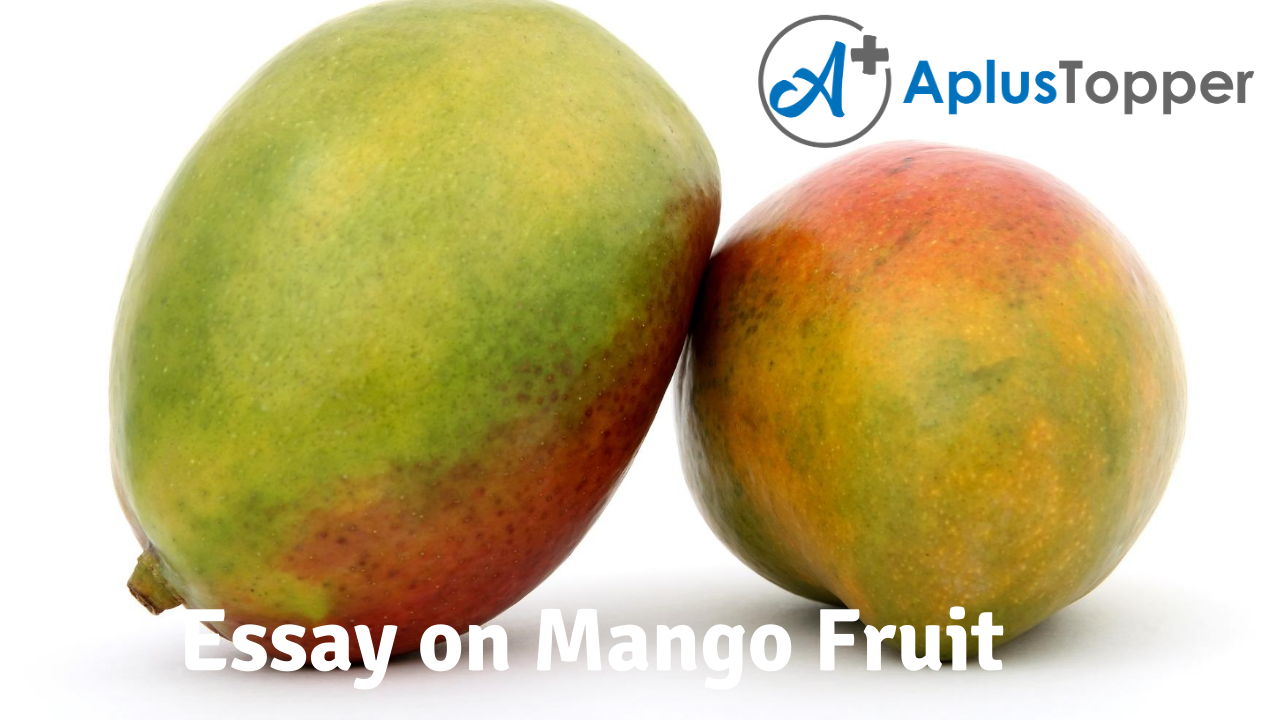 Essay on Mango Fruit