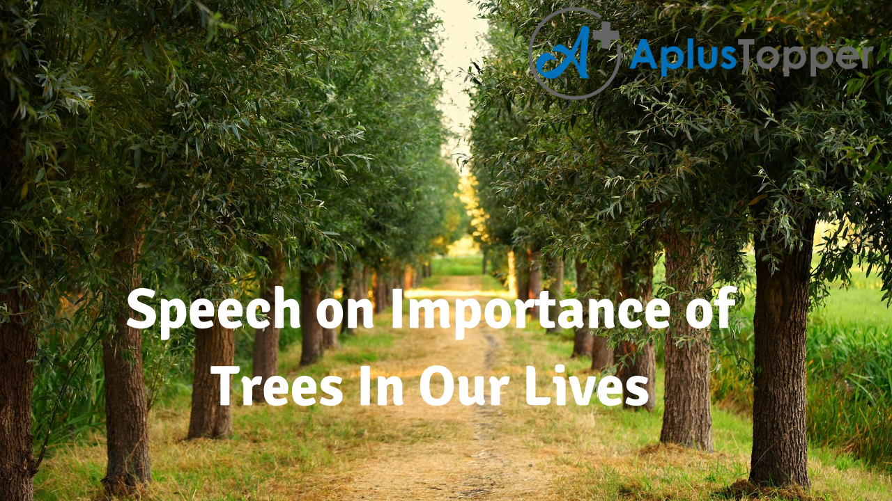 Speech on Importance of Trees In Our Lives