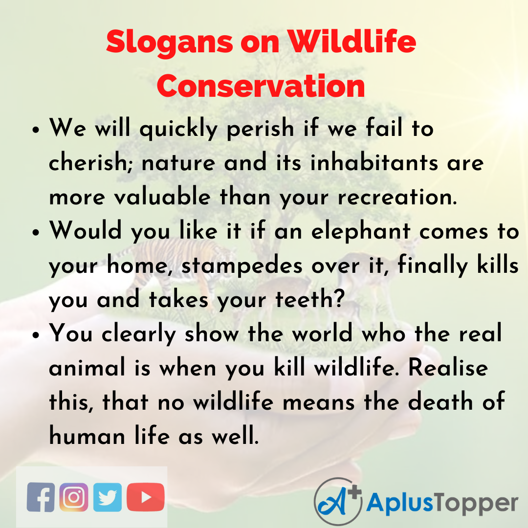 5 Slogans on Wildlife Conservation in English