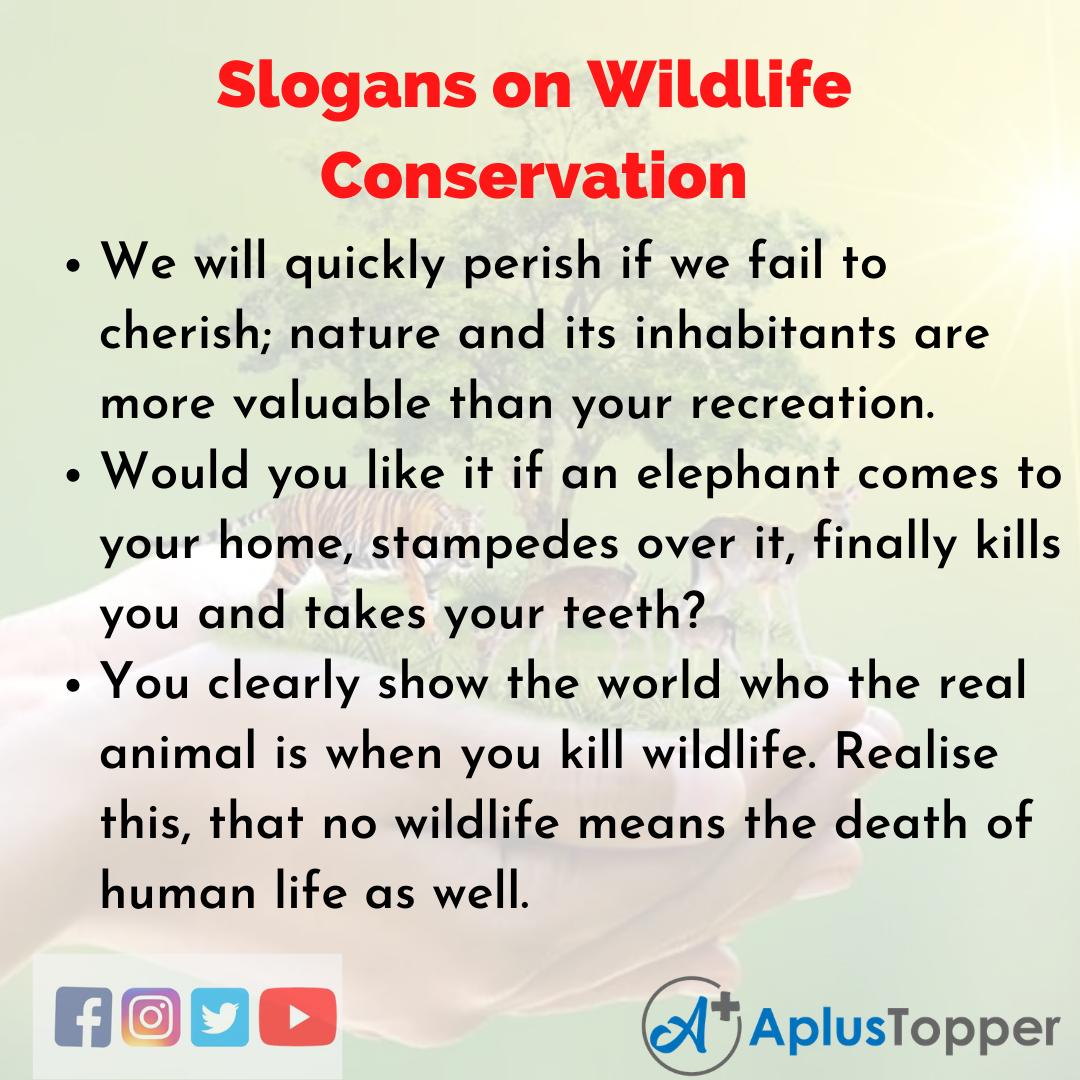 slogan-on-wildlife-sloganupdate