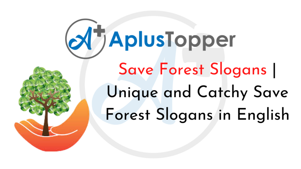 Save Forest Slogans | Unique and Catchy Save Forest Slogans in English ...