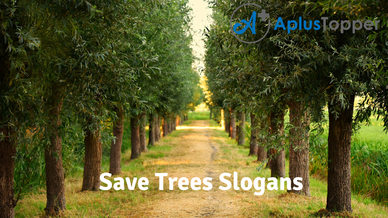 Save Trees Slogans