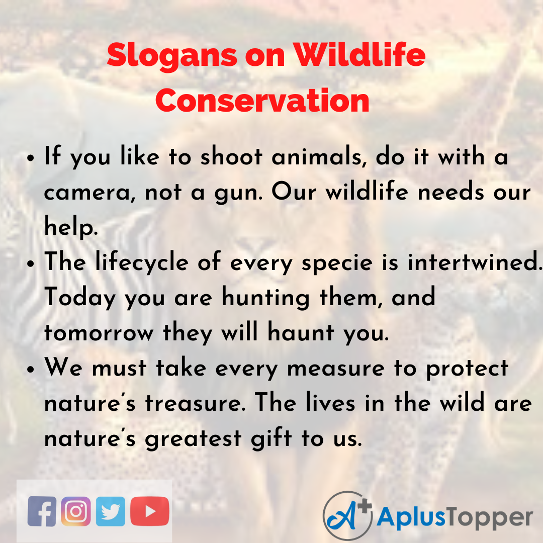 Slogans on Wildlife Conservation in English