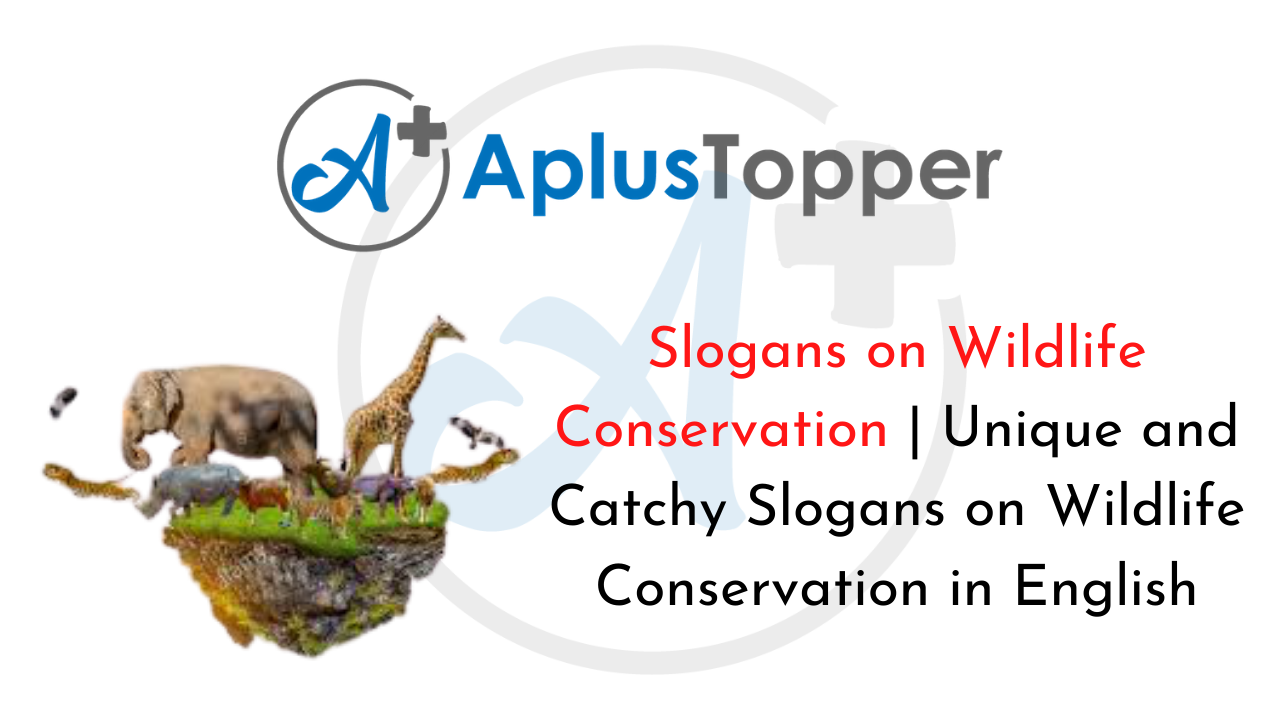 Slogans on Wildlife Conservation