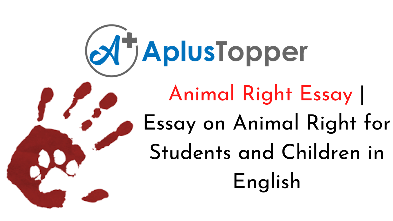 Animal Right Essay