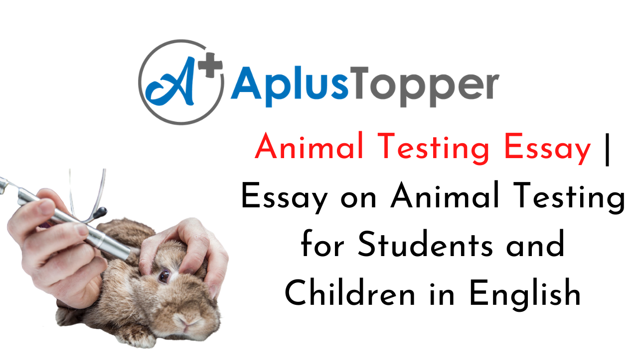 essay on animal testing