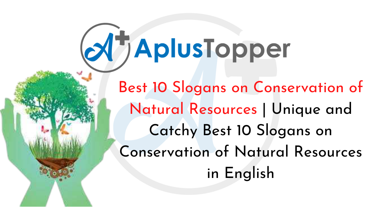 Best 10 Slogans on Conservation of Natural Resources