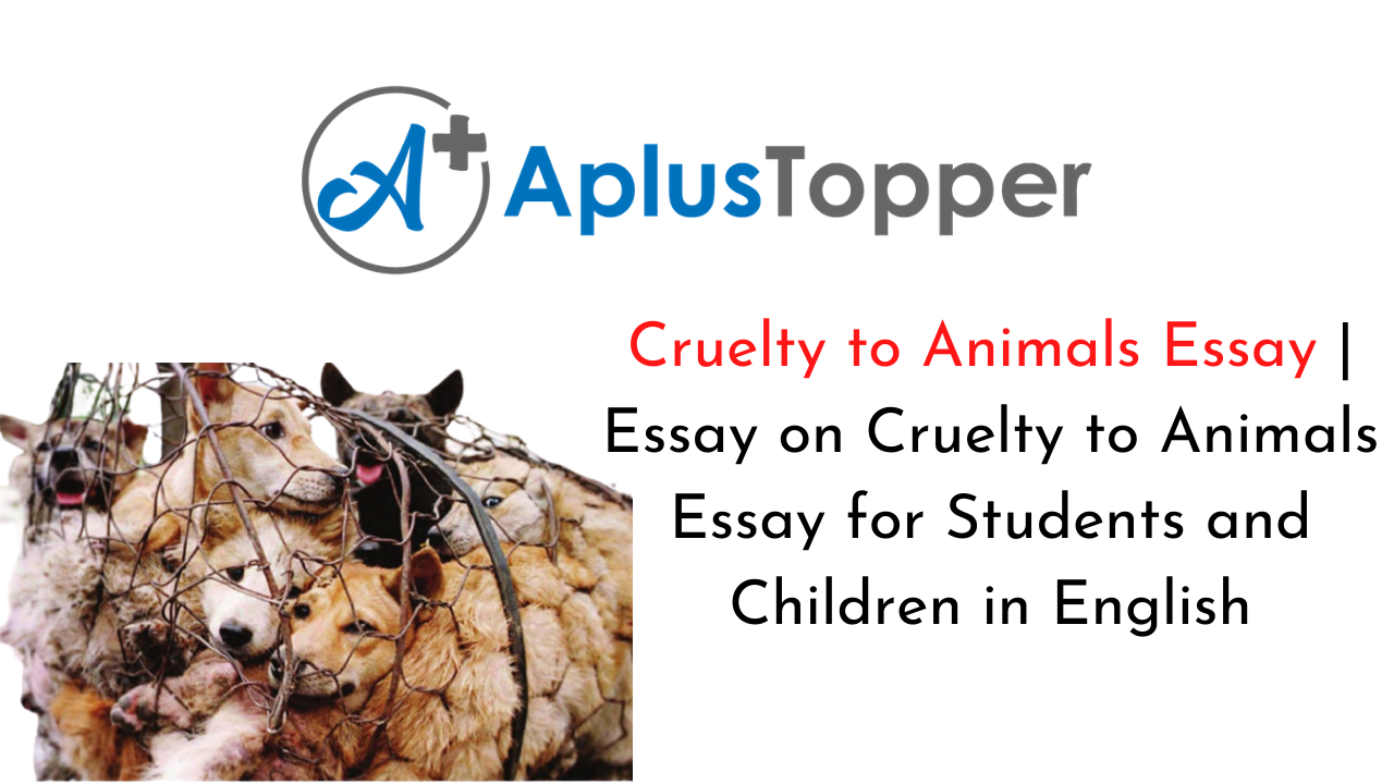 Cruelty to Animals Essay