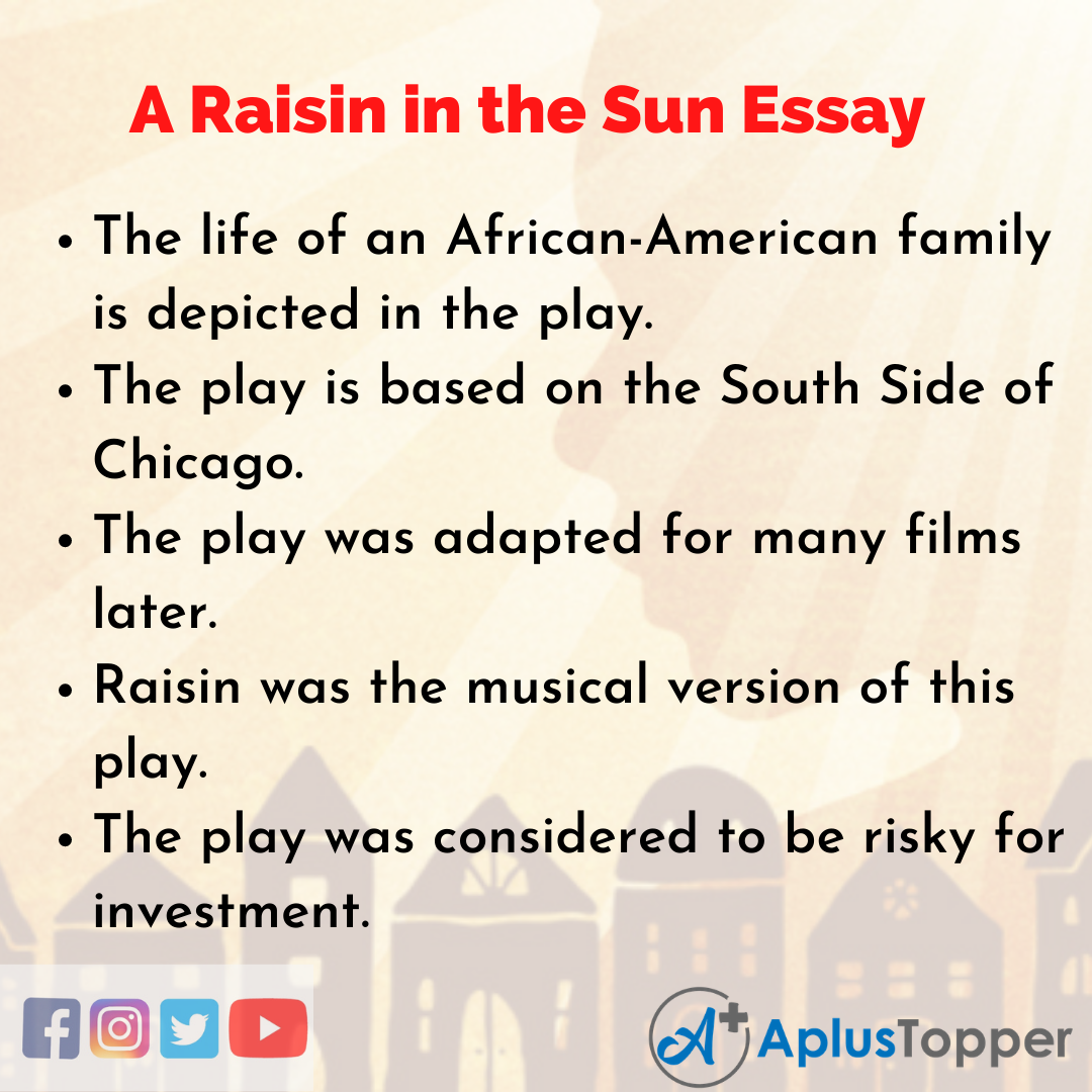 Essay about A Raisin in the Sun
