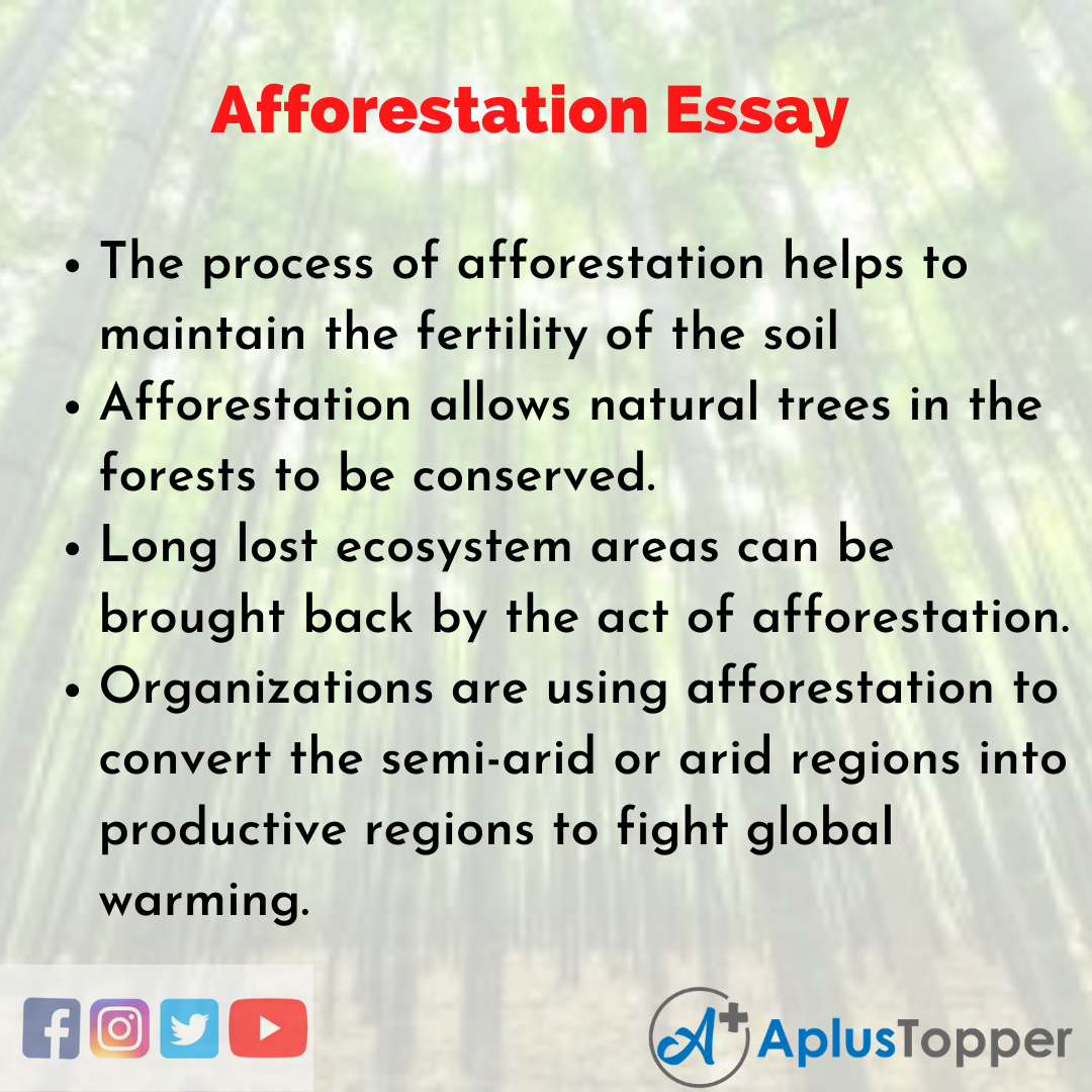 Essay about Afforestation
