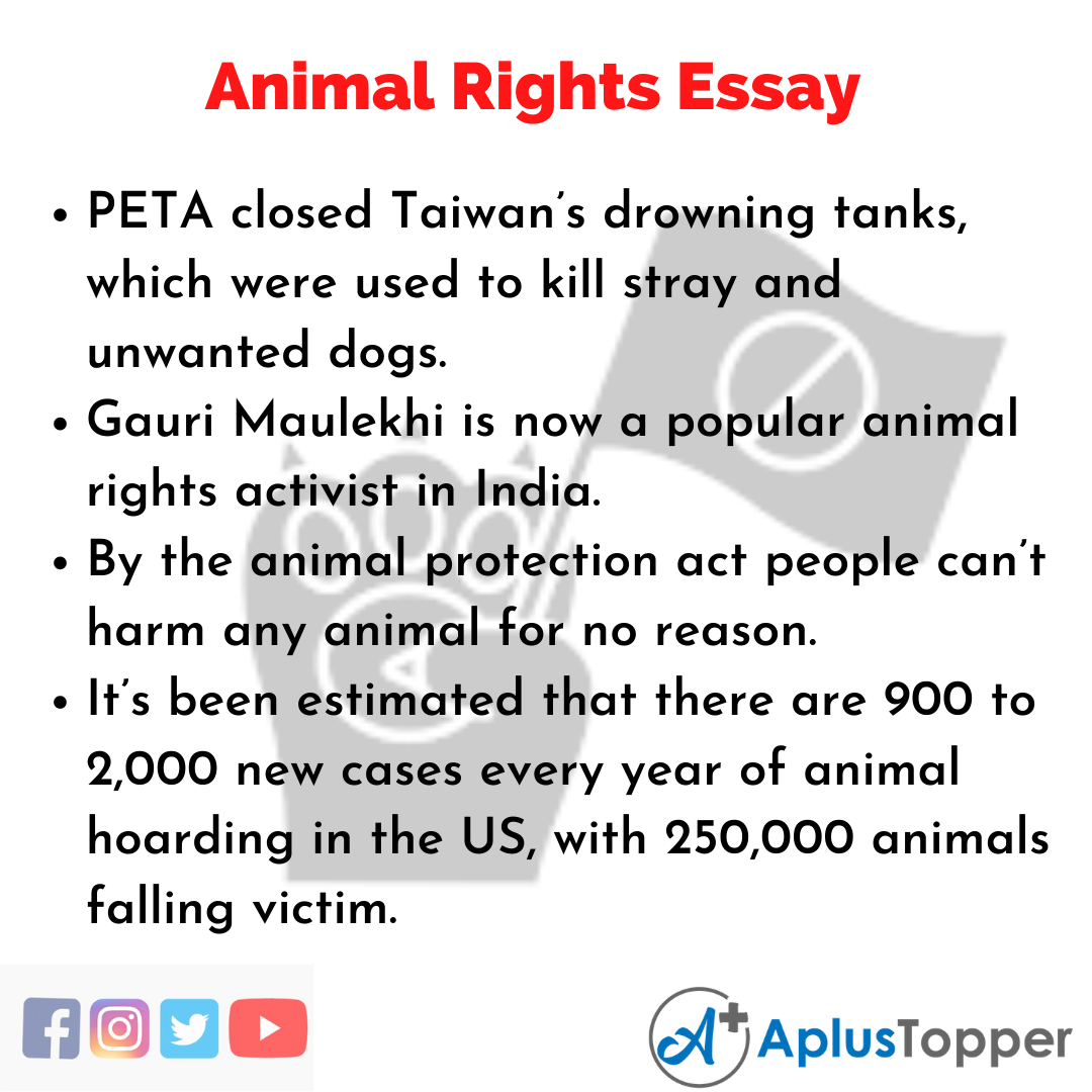 Essay about Animal Rights