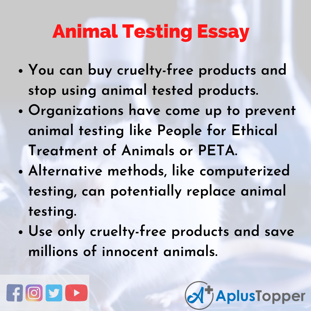 Essay about Animal Testing