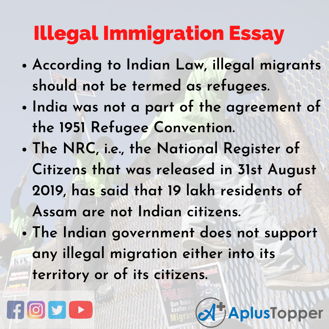 Essay about Illegal Immigration