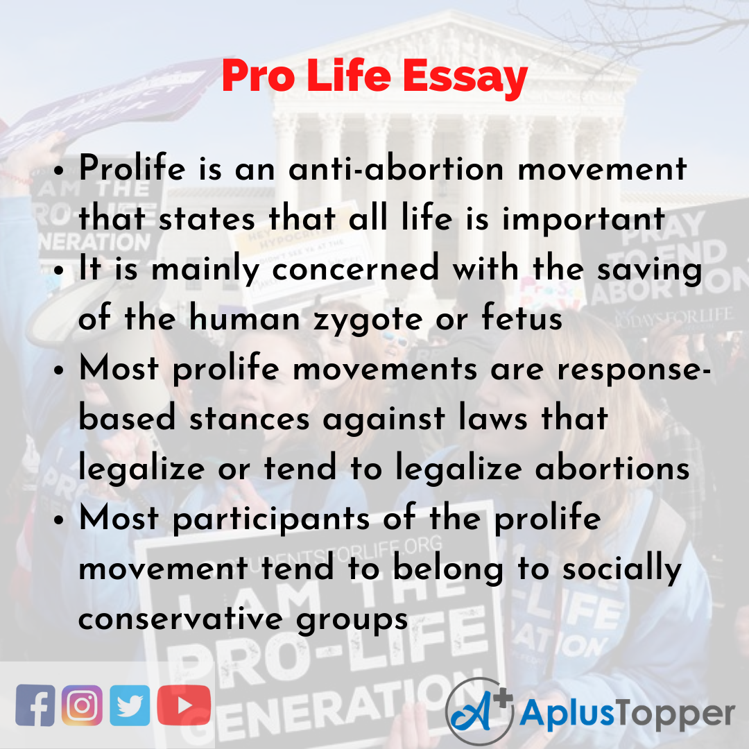 Essay about Pro Life