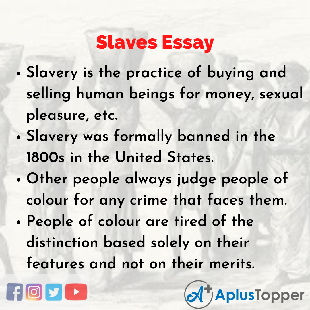 Essay about Slaves