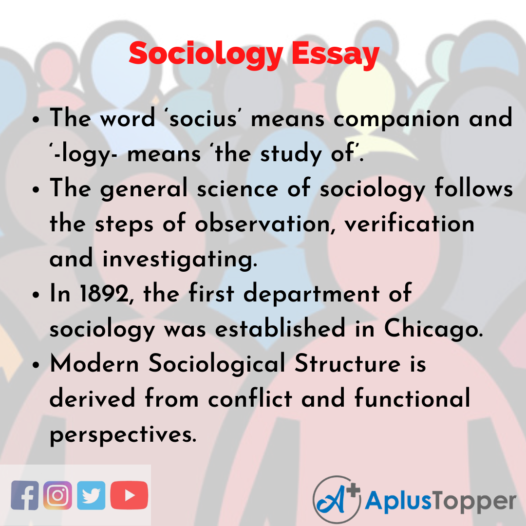 Essay about Sociology