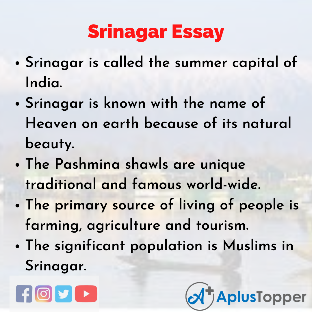 Essay about Srinagar
