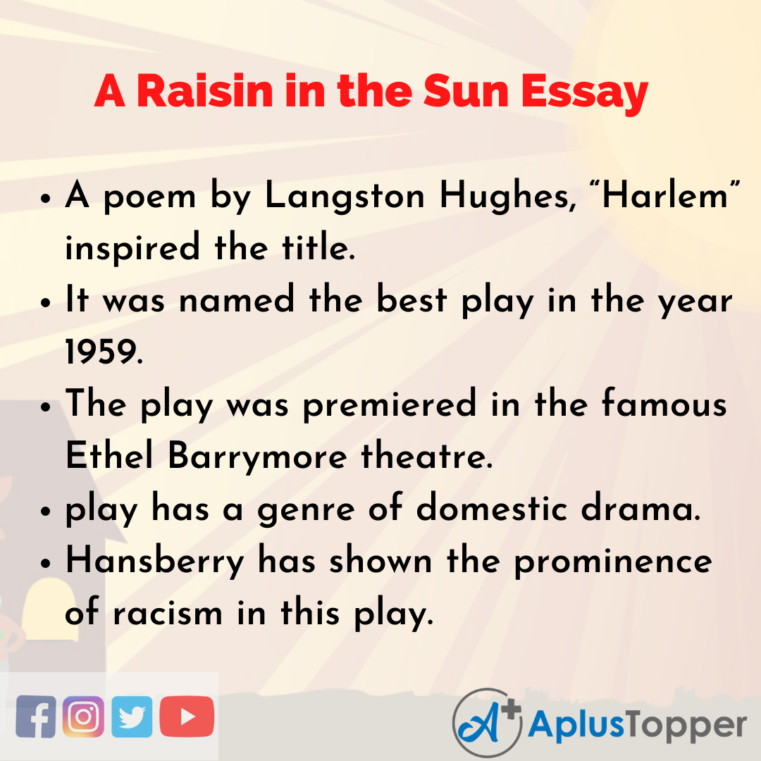 Essay on A Raisin in the Sun