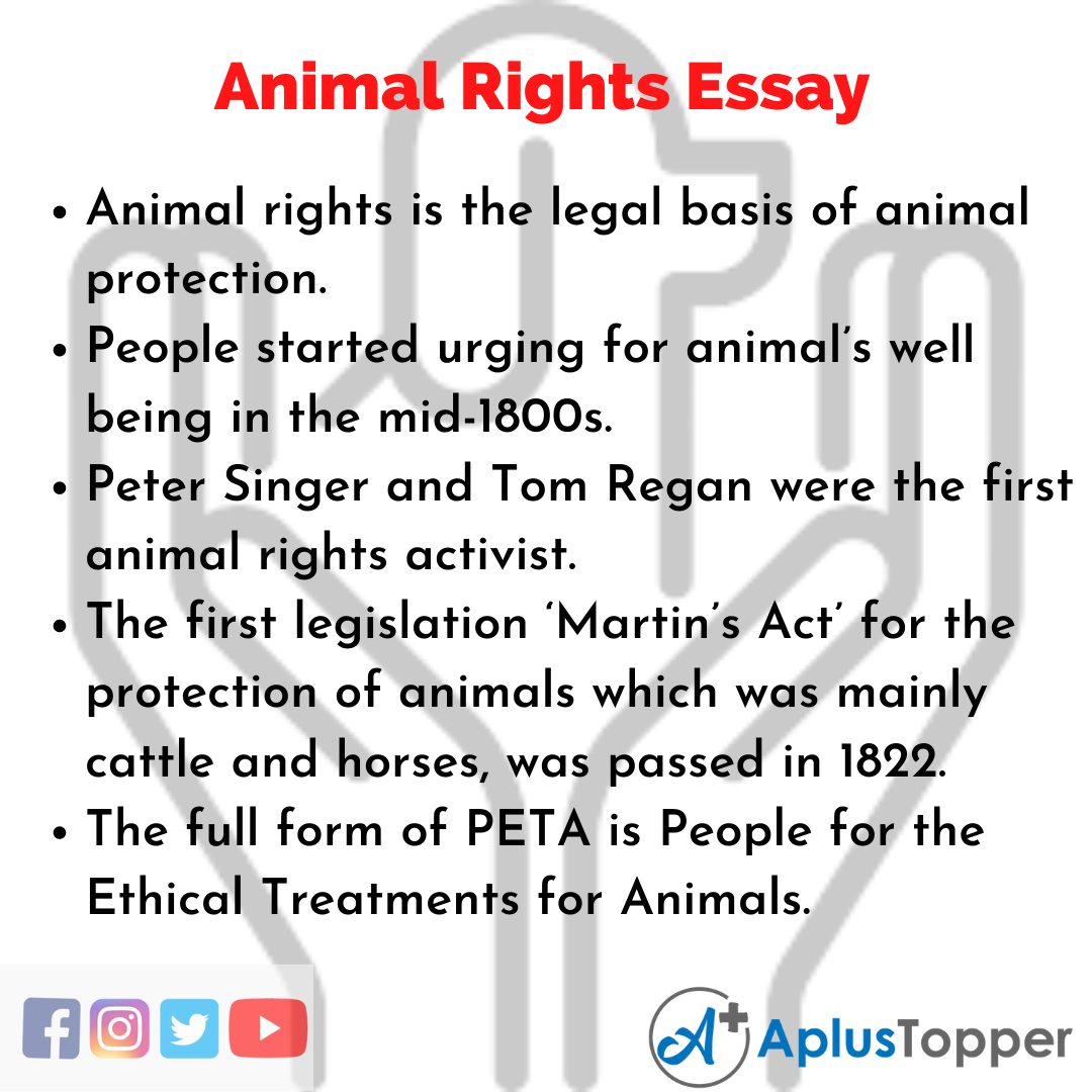 Essay on Animal Rights