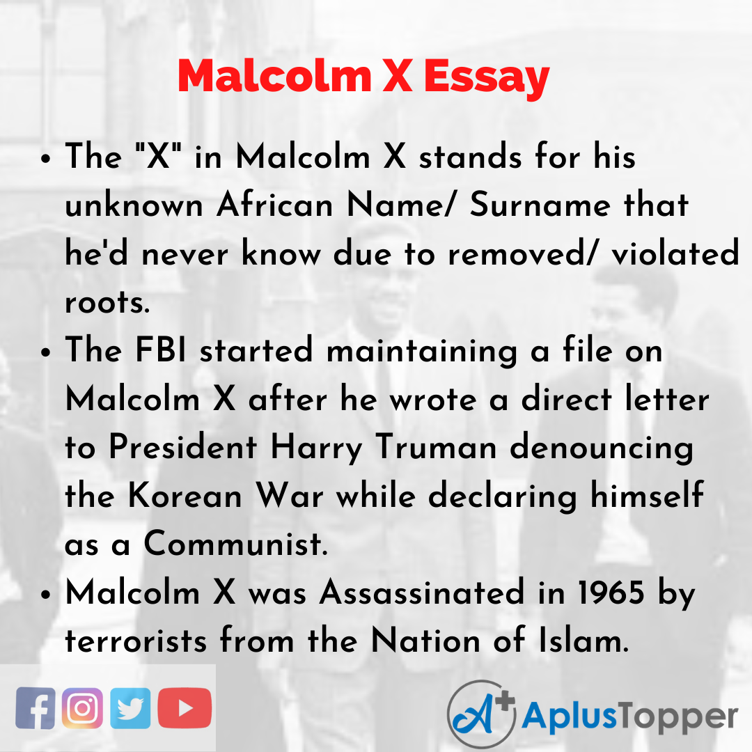 Essay on Malcolm X