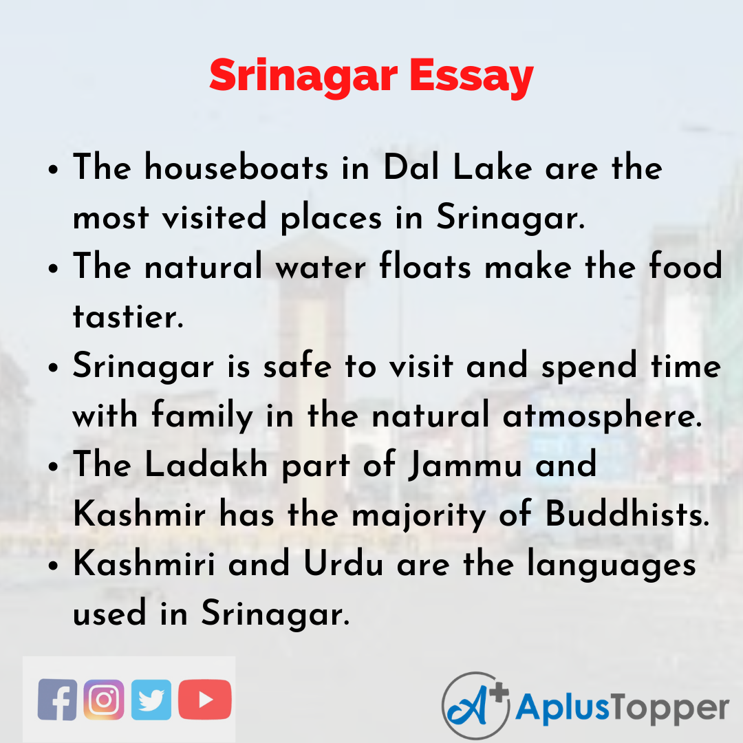 Essay on Srinagar