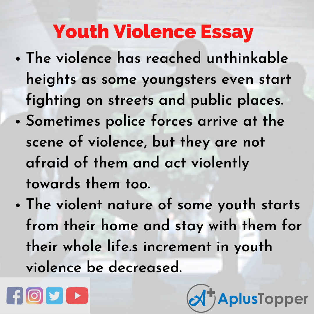 Essay on Youth Violence