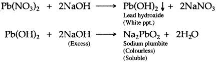 ICSE Solutions for Class 10 Chemistry - Analytical Chemistry 4