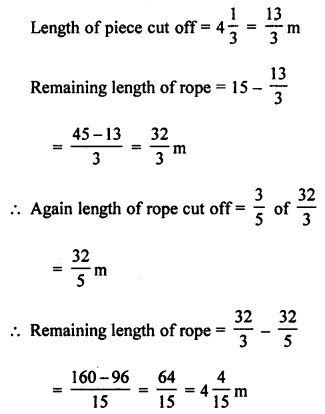ML Aggarwal Class 7 Solutions for ICSE Maths Chapter 3 Rational Numbers Objective Type Questions hots Q1.1