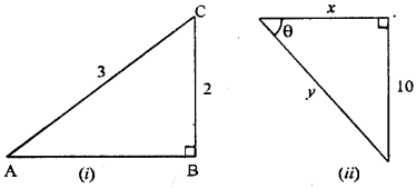 ML Aggarwal Class 9 Solutions for ICSE Maths Chapter 17 Trigonometric Ratios Chapter Test img-1