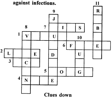 Selina Concise Biology Class 8 ICSE Solutions – Diseases and First Aid 4