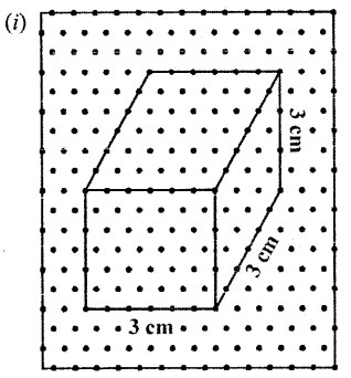 Selina Concise Mathematics Class 6 ICSE Solutions Chapter 31 Recognition of Solids image - 13