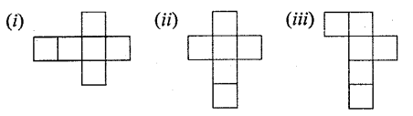 Selina Concise Mathematics Class 6 ICSE Solutions Chapter 31 Recognition of Solids image - 2