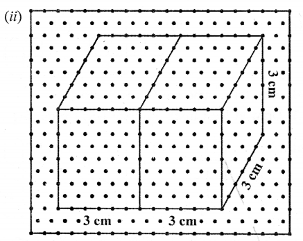 Selina Concise Mathematics Class 6 ICSE Solutions Chapter 31 Recognition of Solids image - 5