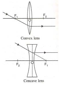 Selina Concise Physics Class 10 ICSE Solutions Refraction through Lens img 25