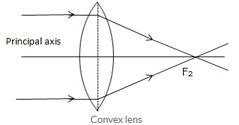 Selina Concise Physics Class 10 ICSE Solutions Refraction through Lens img 4