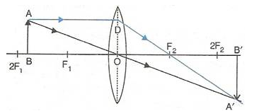 Selina Concise Physics Class 10 ICSE Solutions Refraction through Lens img 43