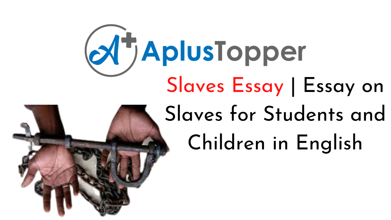 Slaves Essay