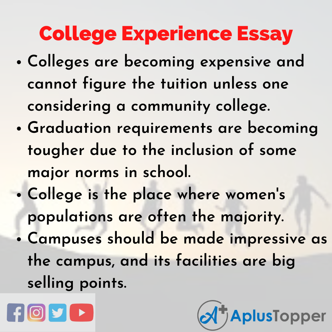 Essay about College Experience