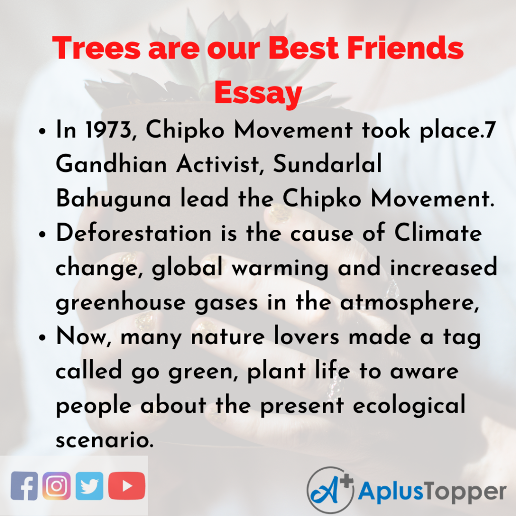 Essay about Trees are our Best Friends