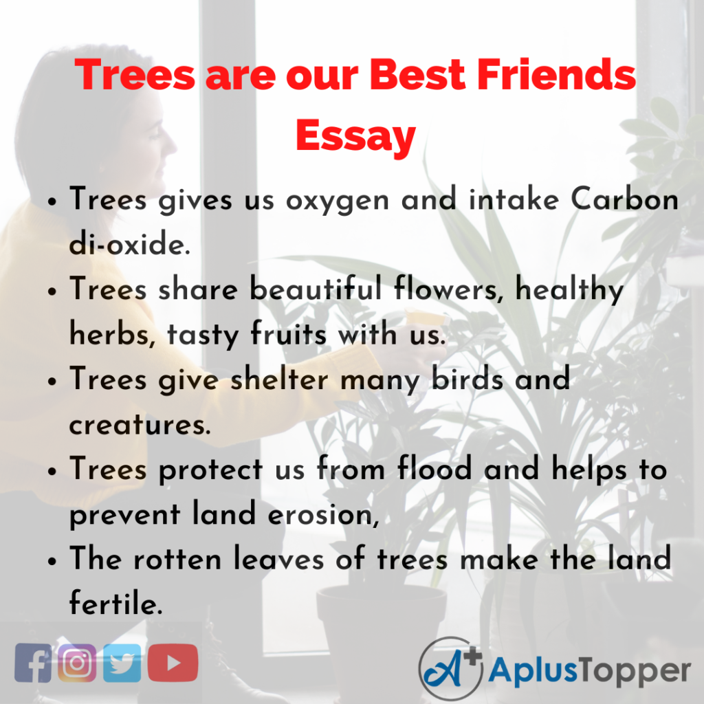 Essay on Trees are our Best Friends