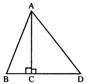 Selina Concise Mathematics Class 7 ICSE Solutions Chapter 16 Pythagoras Theorem image - 11