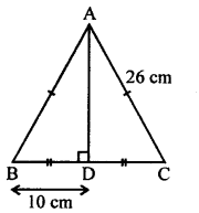 Selina Concise Mathematics Class 7 ICSE Solutions Chapter 16 Pythagoras Theorem image - 13