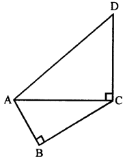 Selina Concise Mathematics Class 7 ICSE Solutions Chapter 16 Pythagoras Theorem image - 14