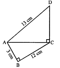 Selina Concise Mathematics Class 7 ICSE Solutions Chapter 16 Pythagoras Theorem image - 15