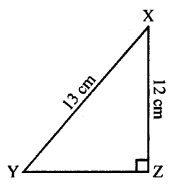 Selina Concise Mathematics Class 7 ICSE Solutions Chapter 16 Pythagoras Theorem image - 2