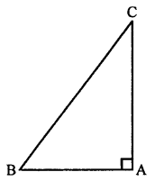 Selina Concise Mathematics Class 7 ICSE Solutions Chapter 16 Pythagoras Theorem image - 4