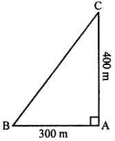 Selina Concise Mathematics Class 7 ICSE Solutions Chapter 16 Pythagoras Theorem image - 5