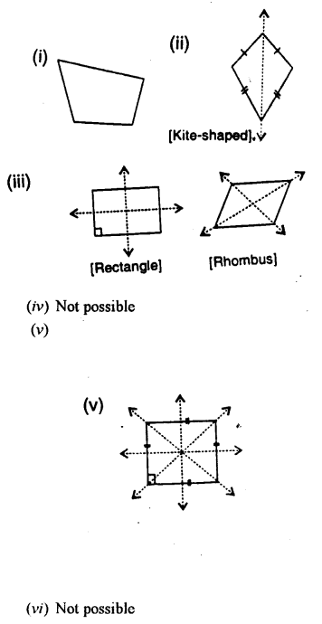 Selina Concise Mathematics Class 7 ICSE Solutions Chapter 17 Symmetry imagev - 22