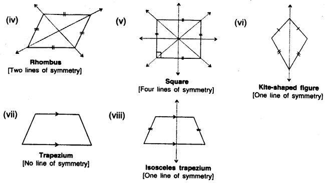 Selina Concise Mathematics Class 7 ICSE Solutions Chapter 17 Symmetry imagev - 6